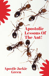 Apostolic Lessons From The Ant